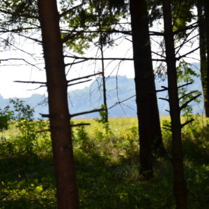 Reise einer Seele