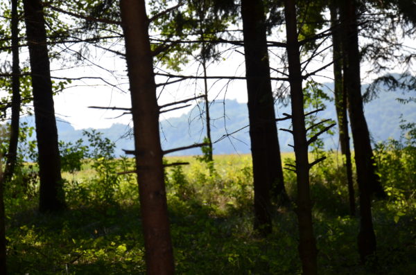 Reise einer Seele