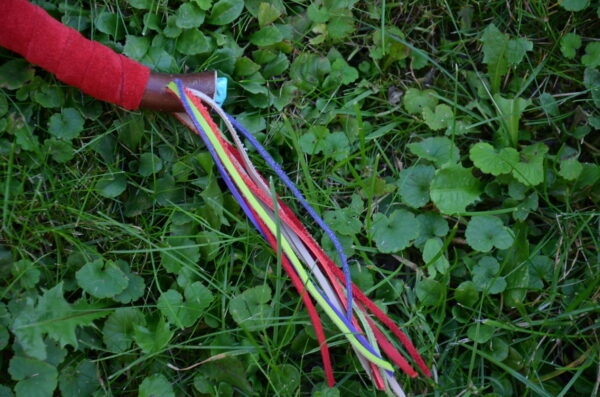 Rassel Hirsch Weide – Bild 3