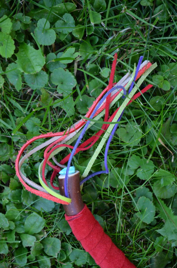Rassel Hirsch Weide – Bild 6