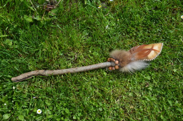 Rassel Fuchs – Bild 6