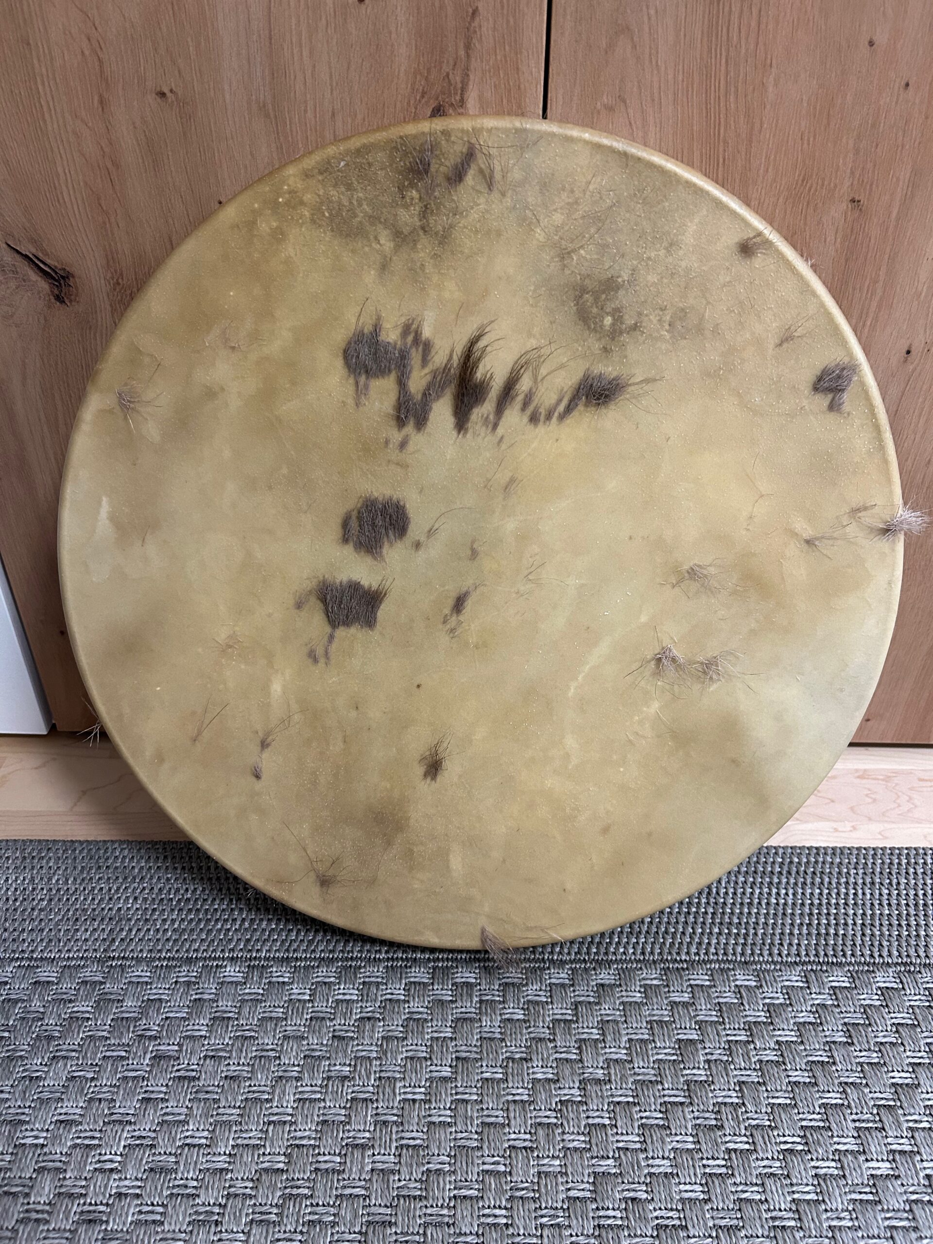 Trommel 50 cm Hirsch und Buche "Fun"